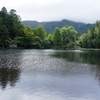 金鱗湖