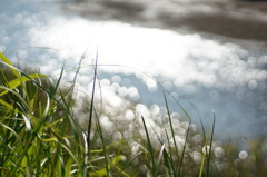 ブクブク泡ブク