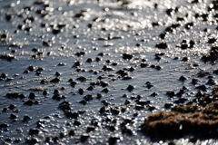 時の流れに身をまかせ