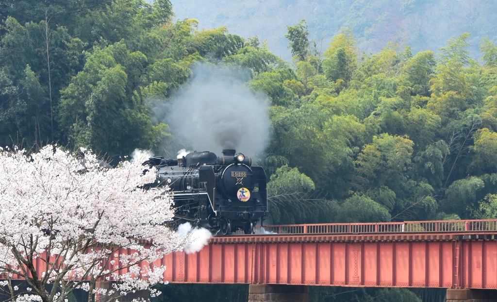 桜とデゴイチ