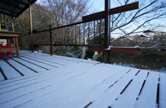 初雪