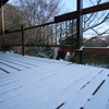 初雪
