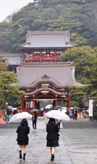 雨の鎌倉