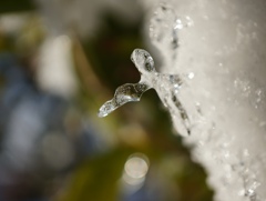 氷のペンダント