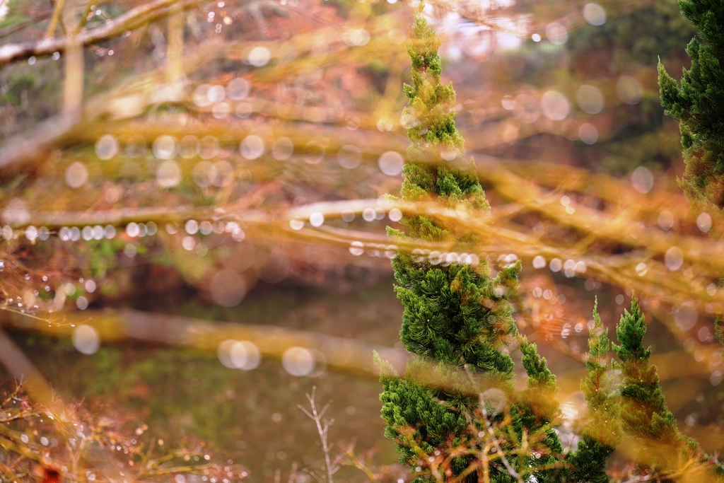 季節外れのイルミネーション