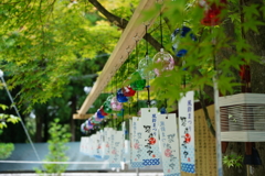 琴崎八幡宮風鈴まつり