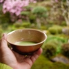 抹茶で乾杯