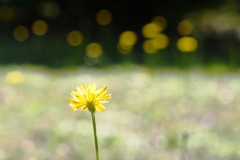 みんな☆おいでよ