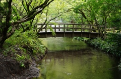 金鱗湖の橋