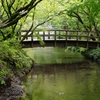 金鱗湖の橋
