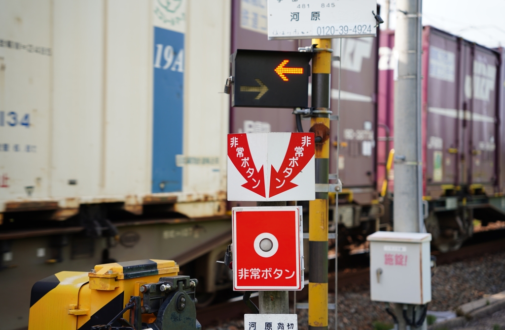 非常のライセンス