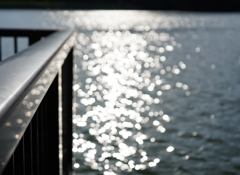 湖面のきらめき