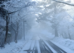 吹雪く