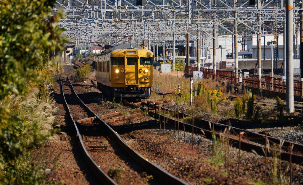 秋色電車で