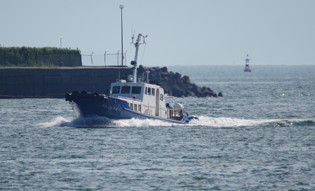 親分、てぇへんだ！