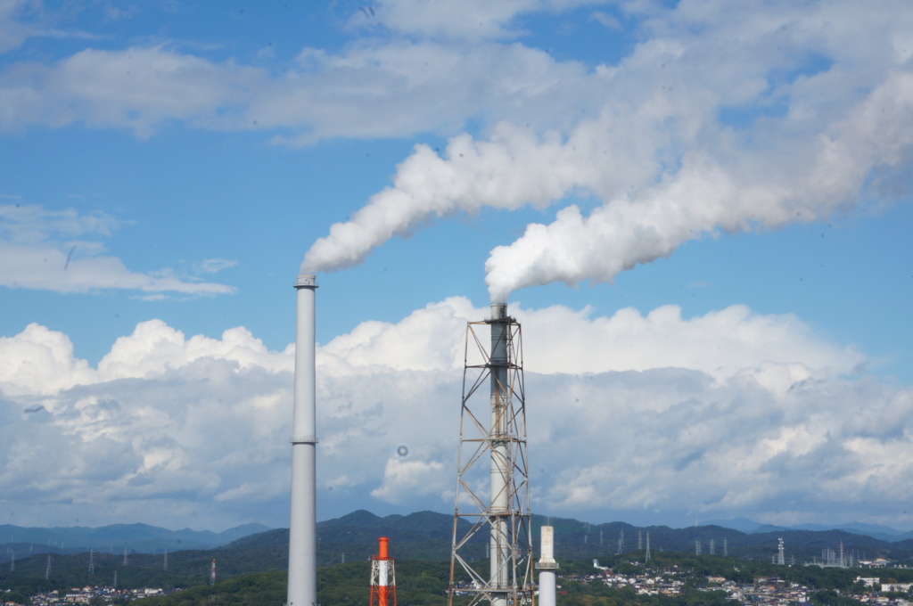 愛が生まれた日