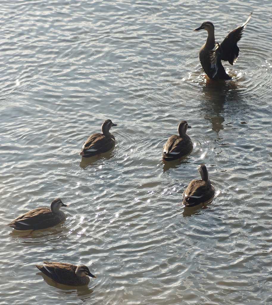 だれが生徒か 先生か