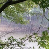 雨の訪問者