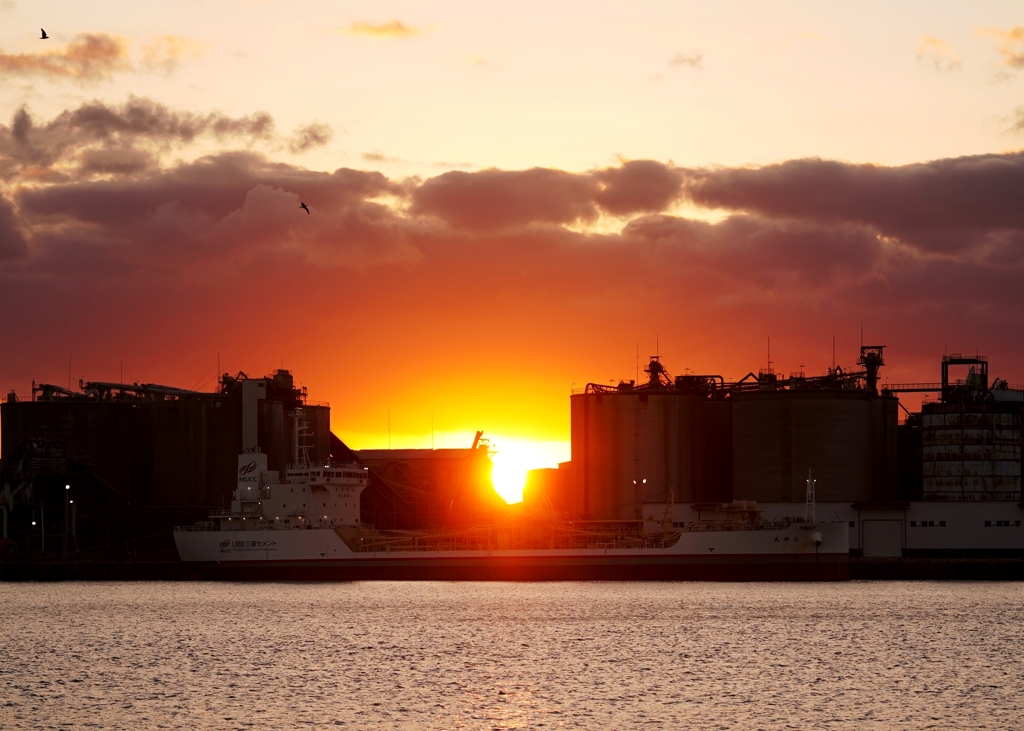 Tomorrow never knows