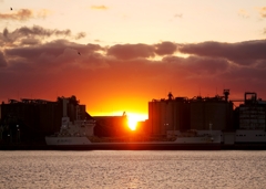 Tomorrow never knows