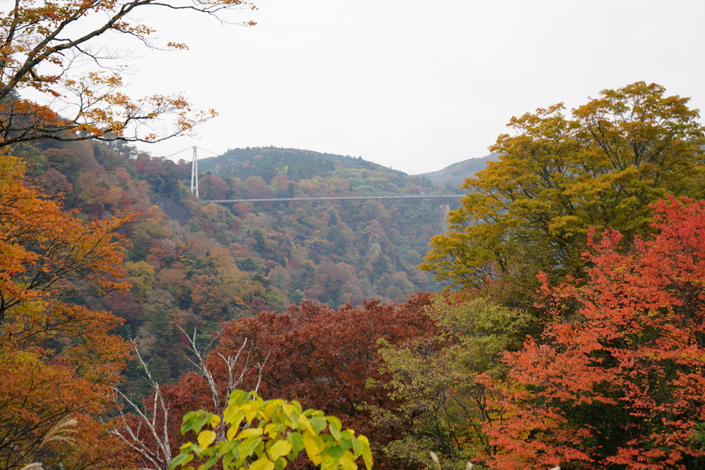 紅葉を渡る