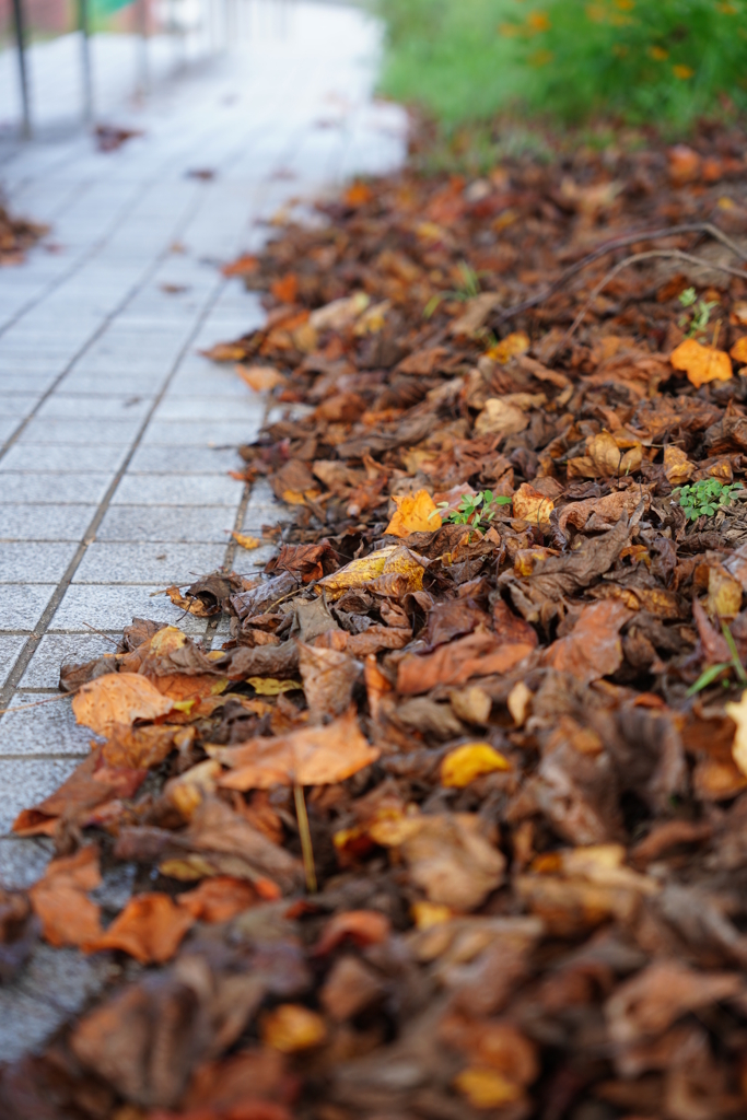 ラヴァーズ・コンチェルト