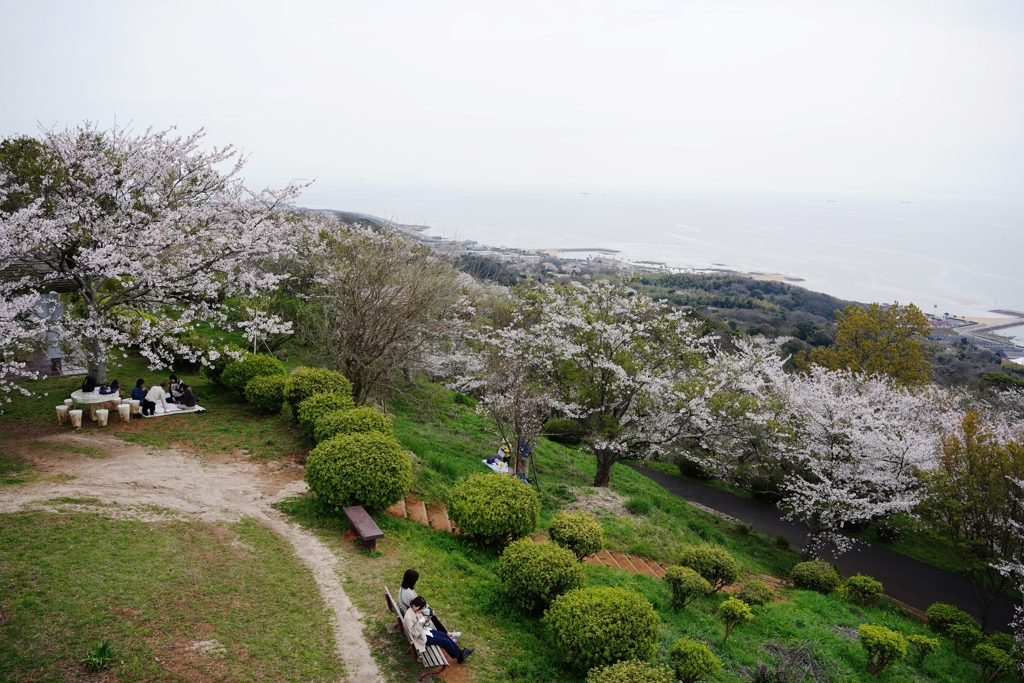 空と海のあいだに