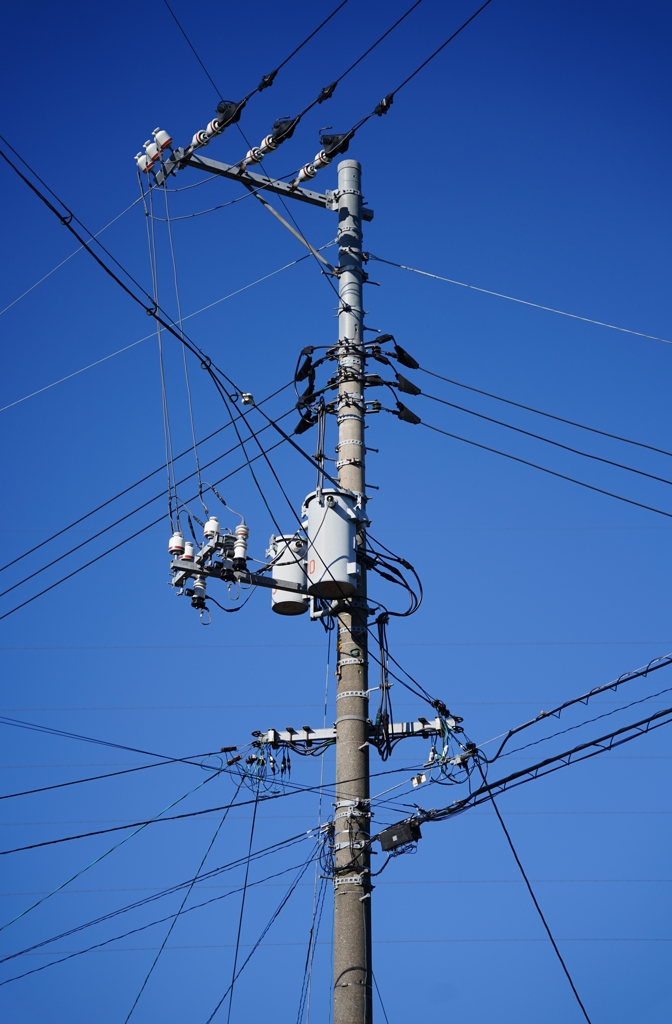 電柱でござる