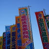 相撲のぼり旗