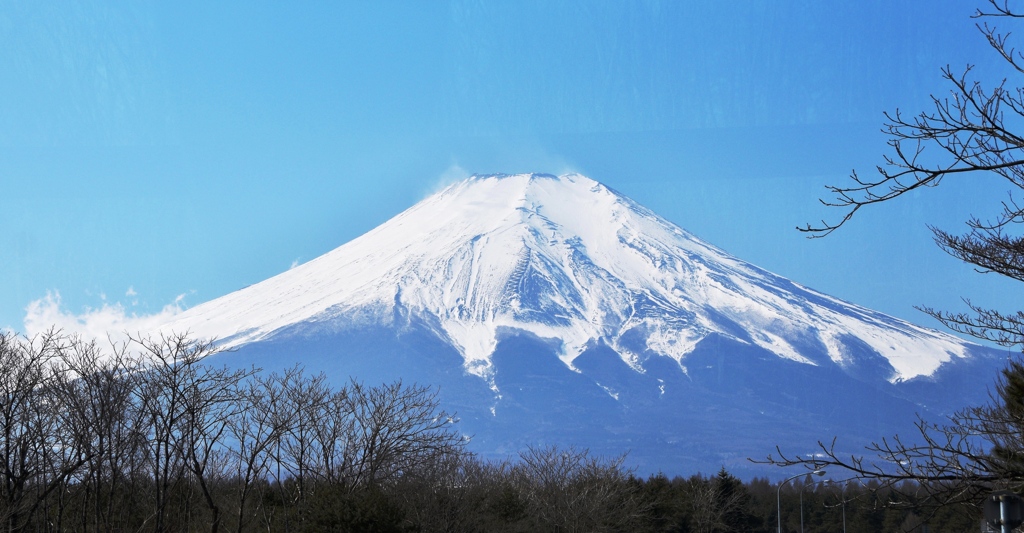 青富士