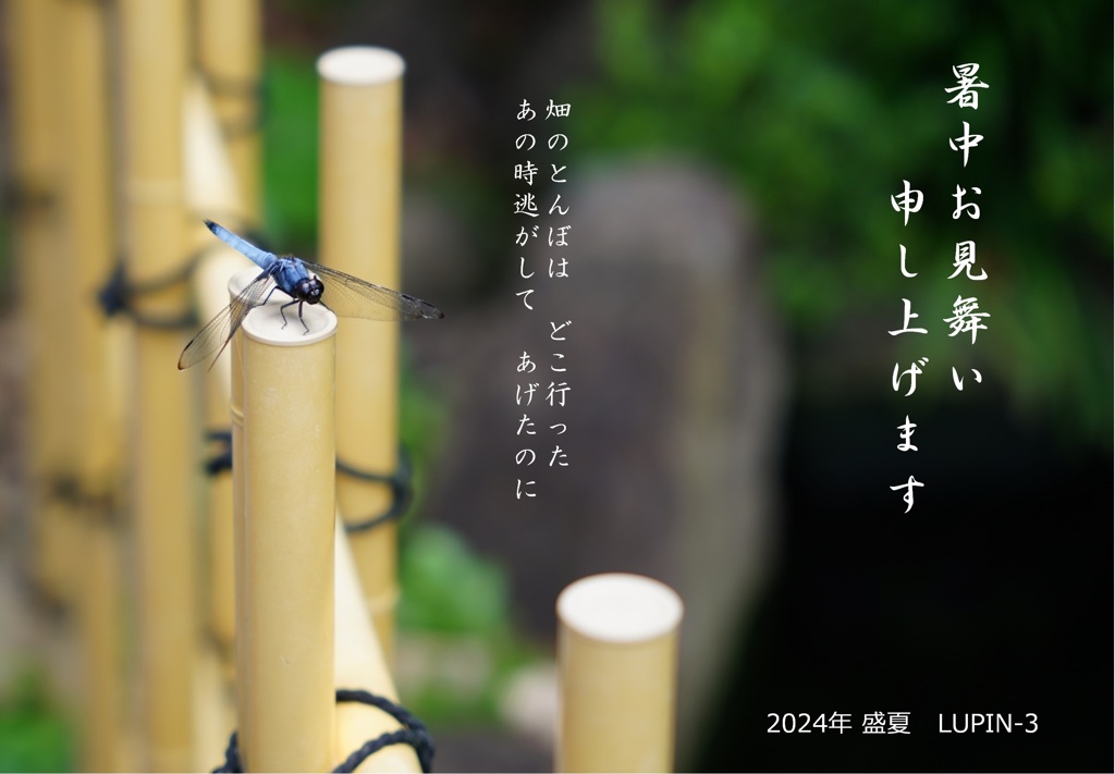 夏休み