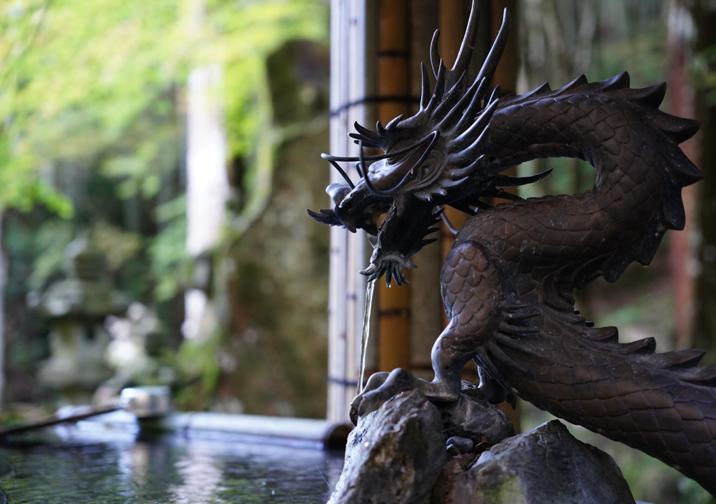 吐水の龍