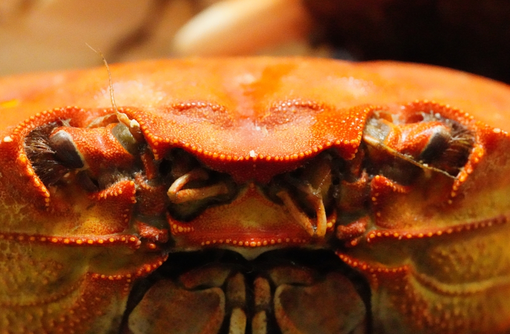 見ぃ～たぁ～なぁ～～～