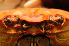 見ぃ～たぁ～なぁ～～～