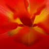 ミクロの決死圏