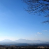 涅槃像