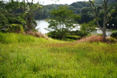風のとおり道