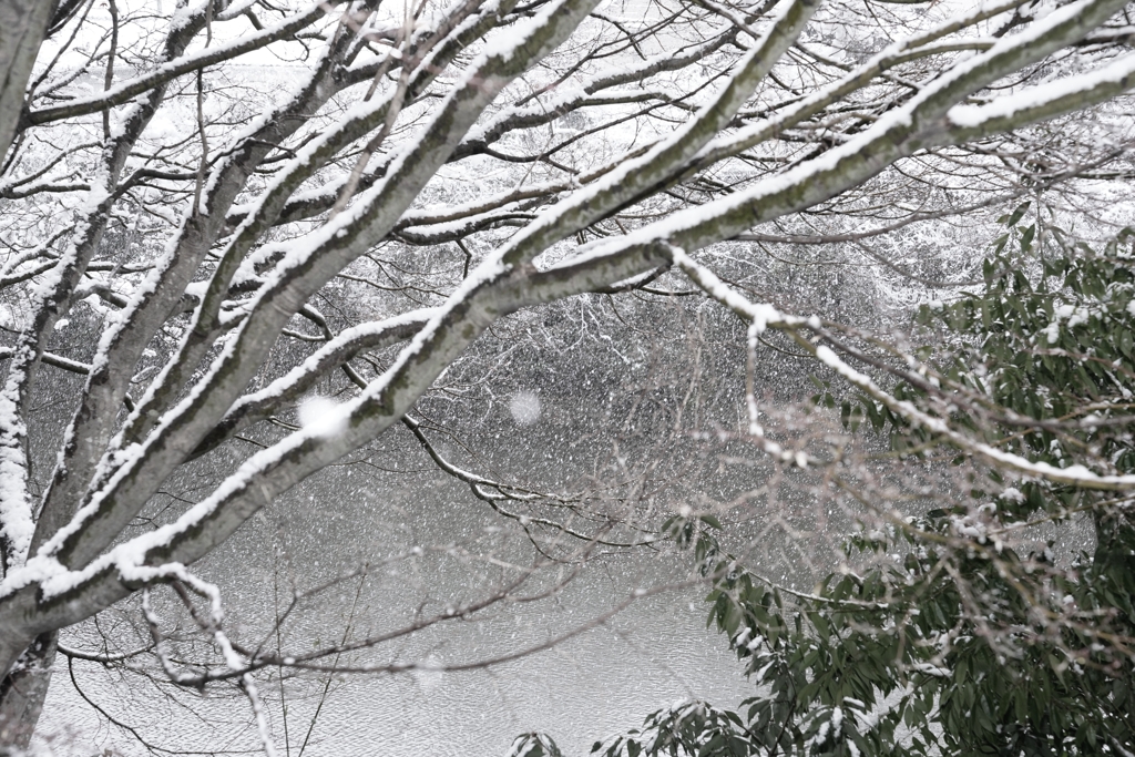 雪は降る