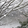 雪は降る