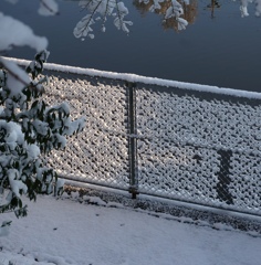 Snow Fence