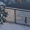 Snow Fence