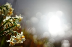 川面のきらめき