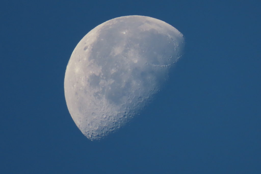 晴れた朝の月（２日目）