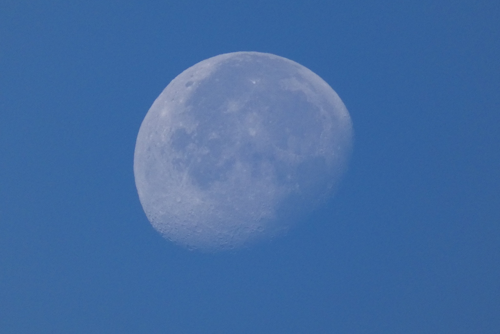 １１月の朝の月