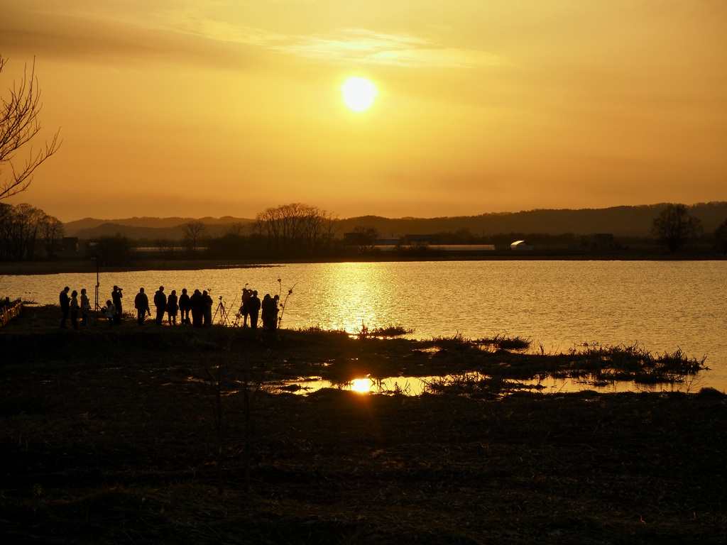 宮島沼の夕日