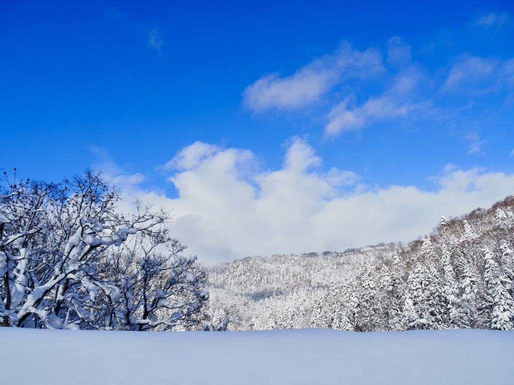 綺麗な青空 By E Xv Id 写真共有サイト Photohito