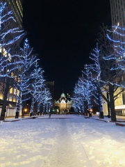 夜の赤レンガ
