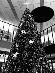クリスマスツリー