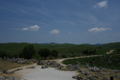 DSC00390