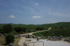 DSC00388